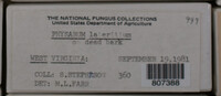 Image Associated With the Occurence